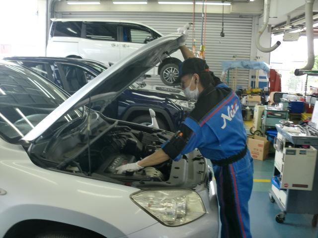 ネッツトヨタ東埼玉㈱Uネッツ杉戸高野台(3枚目)