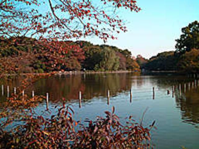 Ｃａｒ－１．ｊｐ 栗原商店 サービス紹介の3つ目