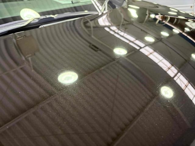 日産　エルグランド　ダイヤモンドキーパー　ボディコーティング