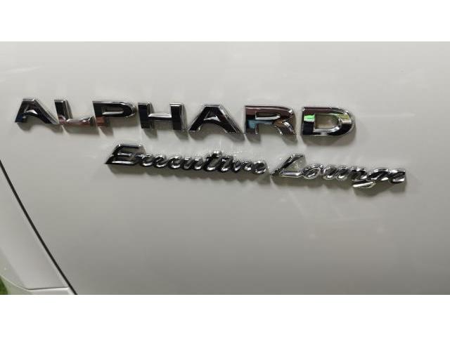 トヨタ　アルファード　フレッシュキーパー　ボディコーティング