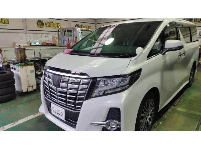 トヨタ　アルファード　フレッシュキーパー　ボディコーティング