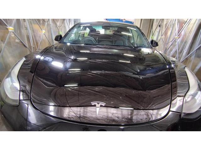 テスラ　モデル３　フレッシュキーパー　ボディコーティング