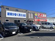 マッハの愉快な仲間達