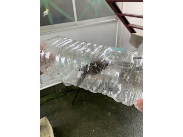 作業実績