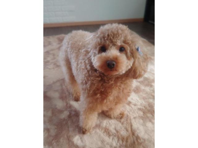 日産　キャラバン　外装品・エアロパーツ取付　ルーフキャリア