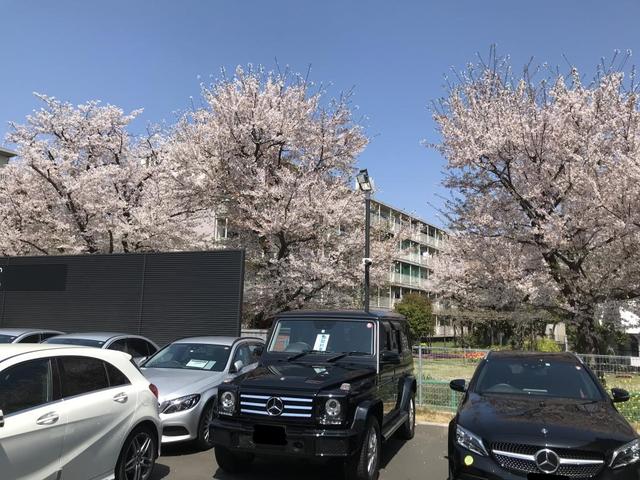 メルセデス・ベンツ　東名川崎サーティファイドカーセンター(5枚目)