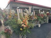 株式会社Ｔｈｅ　Ｅａｒｔｈ　Ｆａｃｔｏｒｙ