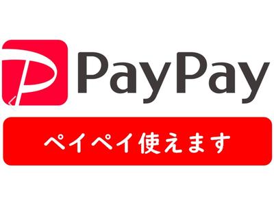 ＰａｙＰａｙ使えます。