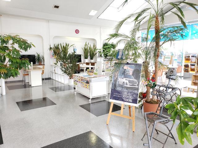 新車市場　鳥坂店・コレＣＡＲラ　清水鳥坂店4