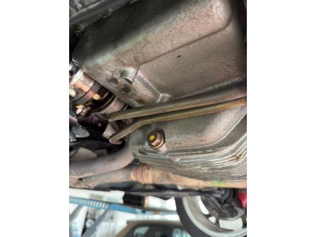 アルファロメオ　アルファスパイダー　オイル交換