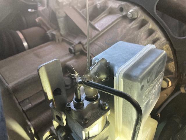 ラティーナスクエア11