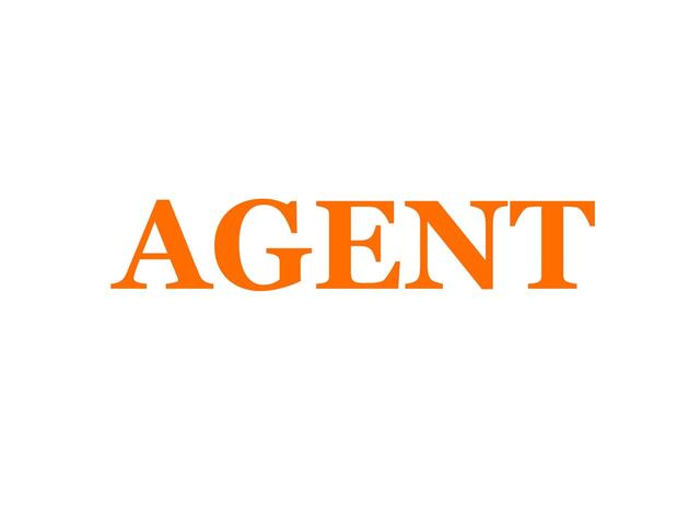 ＡＧＥＮＴ 有限会社エージェント