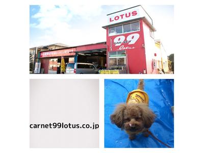 （有）オートボディーショップロータスの画像