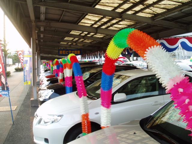 タイコー自動車(株)新古車 チョイ乗り専門店(3枚目)