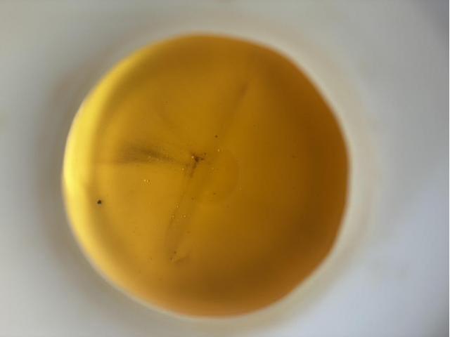 アルファロメオ　アルファブレラ　メンテナンス・日常点検　オイル　ブレーキオイル交換