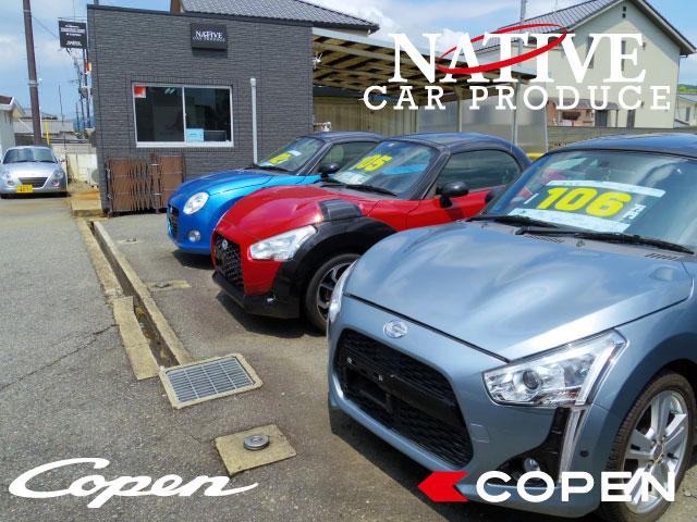 カープロデュースネイティブ サービス紹介の2つ目