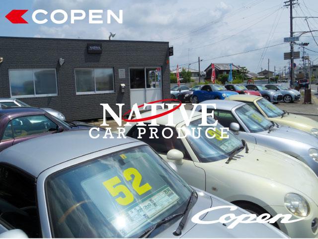 カープロデュースネイティブ サービス紹介の3つ目