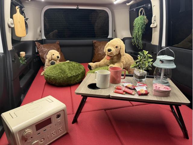 日産 セレナ ライトキャンピングカー仕様 車両情報 奈良・大阪・和歌山・兵庫・京都・滋賀・関西でキャンピングカー仕様 部品取付ならオーダーメイド中古車専門店