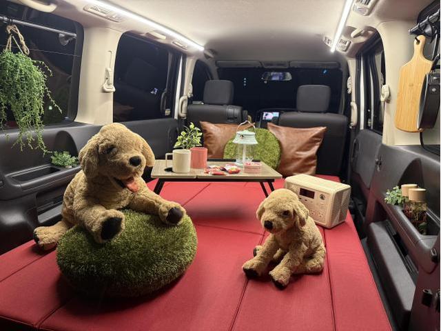 日産 セレナ ライトキャンピングカー仕様 車両情報 奈良・大阪・和歌山・兵庫・京都・滋賀・関西でキャンピングカー仕様 部品取付ならオーダーメイド中古車専門店