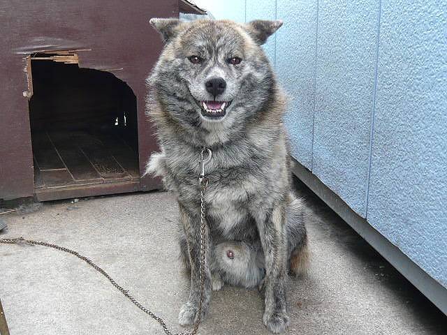 ガレージパートナー サービス紹介の6つ目