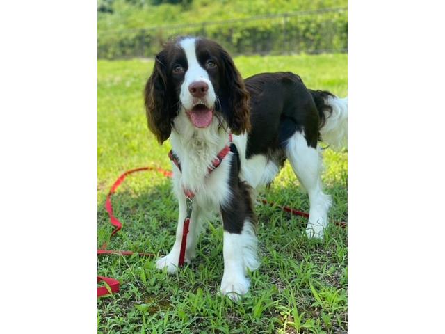 ＮＡＶＩ－Ｘ ナビックス サービス紹介の6つ目