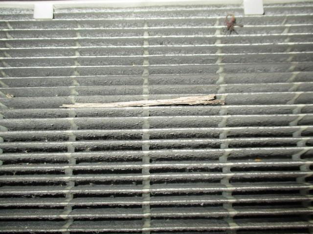 マークＸの車検とプラグ交換