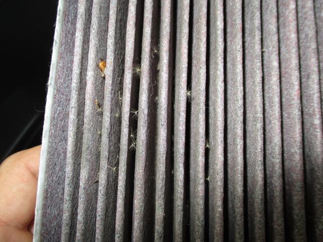 モコの車検とエアコンフィルター交換