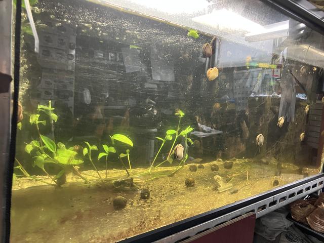 ジャパンカーサービス サービス紹介の5つ目