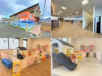 ����Ź����