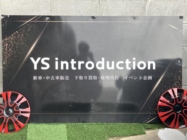 YS introduction