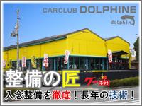 株式会社 ドルフィン