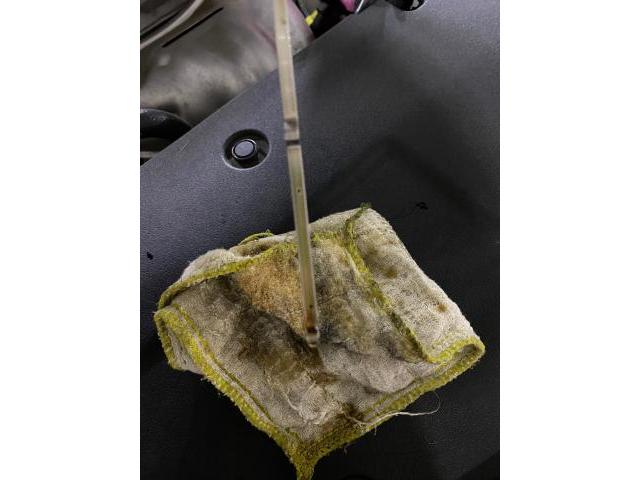 レクサス　NX300h ハイブリッド オイル交換　大阪市　羽曳野市　藤井寺市　富田林市　八尾市　堺市