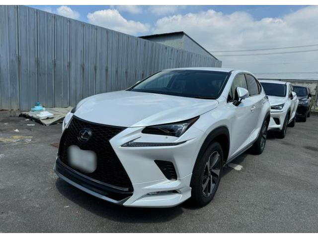 レクサス 10系 NX NX300h NX200t Fスポーツグリル 取り付け レクサス 10系 NX NX300h NX200t Fスポーツグリル 取り付け