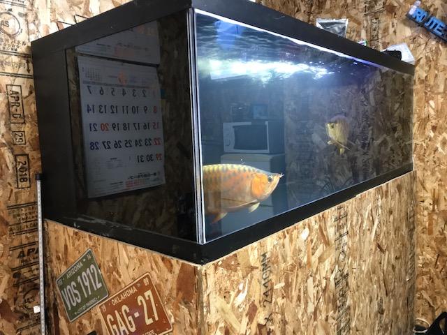 コロンブスオートサービス サービス紹介の6つ目