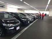 屋根付きスペースにもたくさん展示中。雨の日も安心です☆