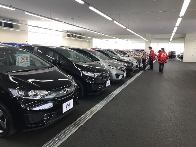 屋根付きスペースにもたくさん展示中。雨の日も安心です☆