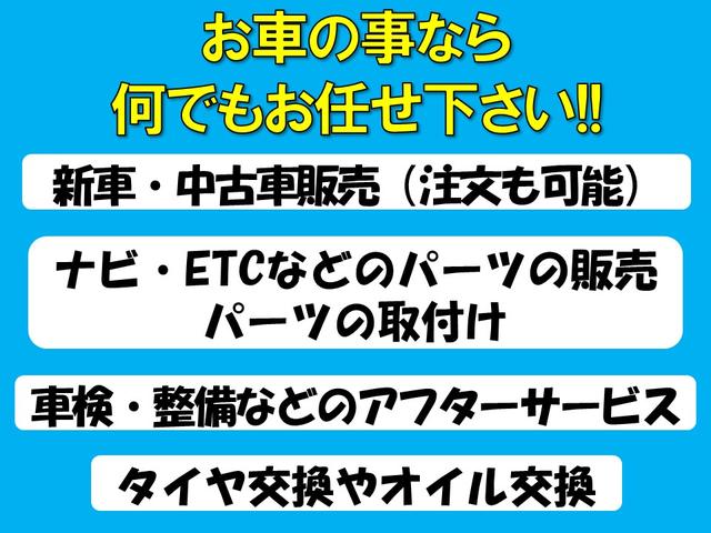 カーバンク・シガ(3枚目)