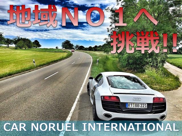 ＣＡＲ　ＮＯＲＵＥＬ　カーノルエル(5枚目)