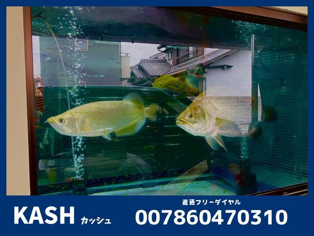 株式会社 KASHカッシュ(5枚目)