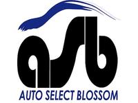 Ａｕｔｏ　Ｓｅｌｅｃｔ　Ｂｌｏｓｓｏｍ