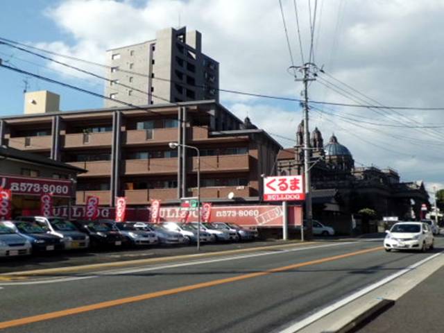 ブルドッグ(6枚目)