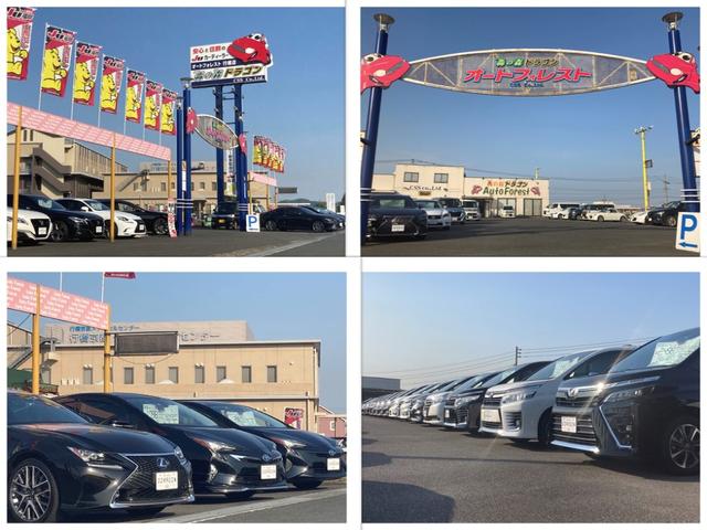 轟の森オートフォレスト行橋 株式会社轟の森ドラゴン(2枚目)