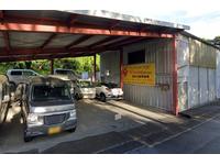 �֣�����ӥ������