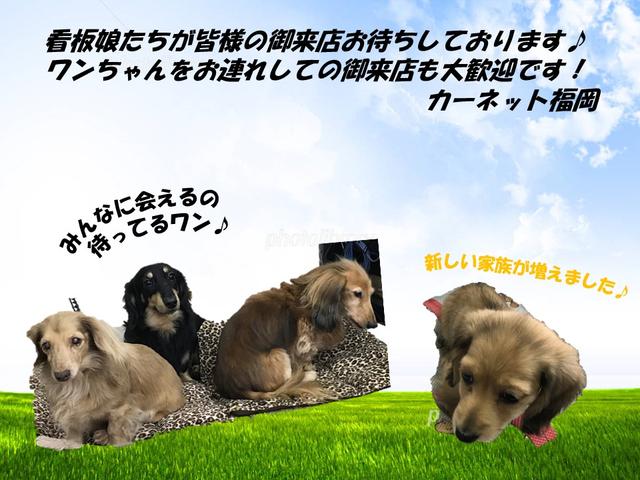 カーネット福岡(株)(0枚目)