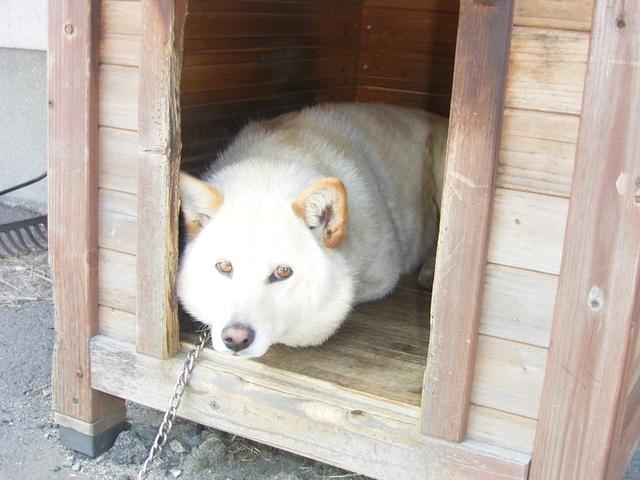 ＵＰＳＩＤＥ（アップサイド） サービス紹介の4つ目