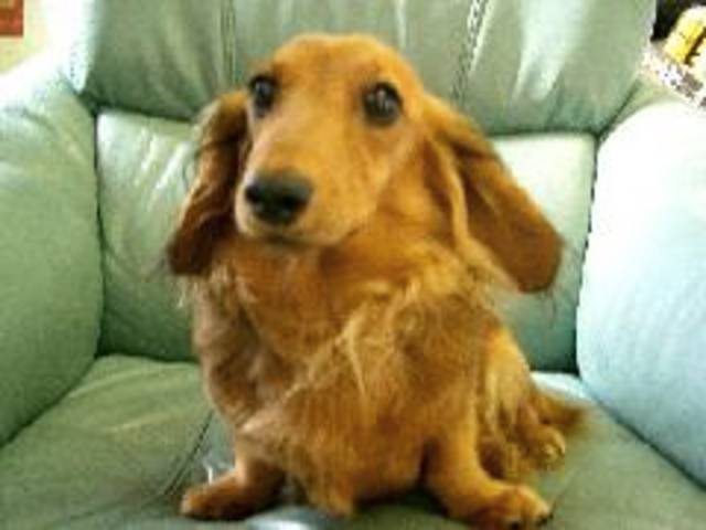 インパクト サービス紹介の3つ目