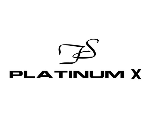 ＰＬＡＴＩＮＵＭ Ｘ