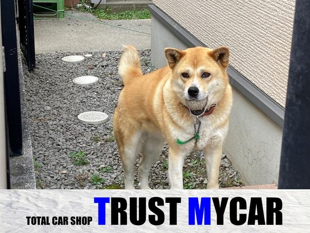 ＴＲＵＳＴ　ＭＹＣＡＲ　トラストマイカー(6枚目)