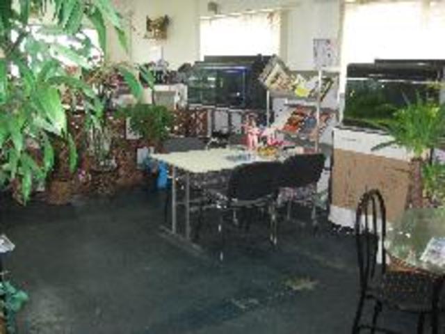 カークラブ ラハイナ サービス紹介の2つ目