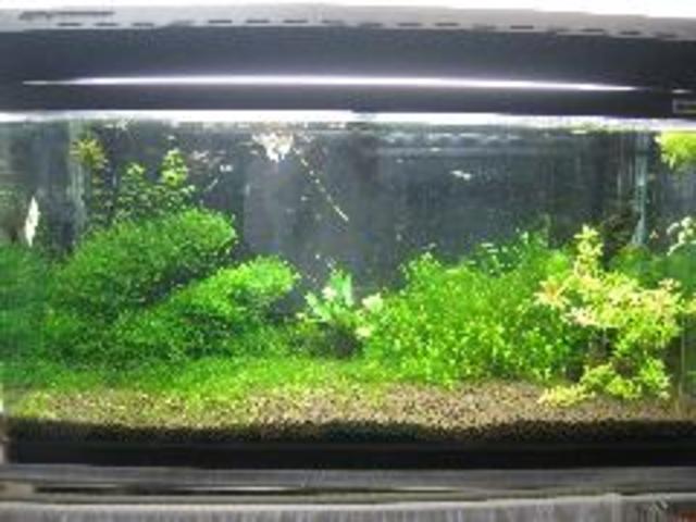 カークラブ ラハイナ サービス紹介の3つ目